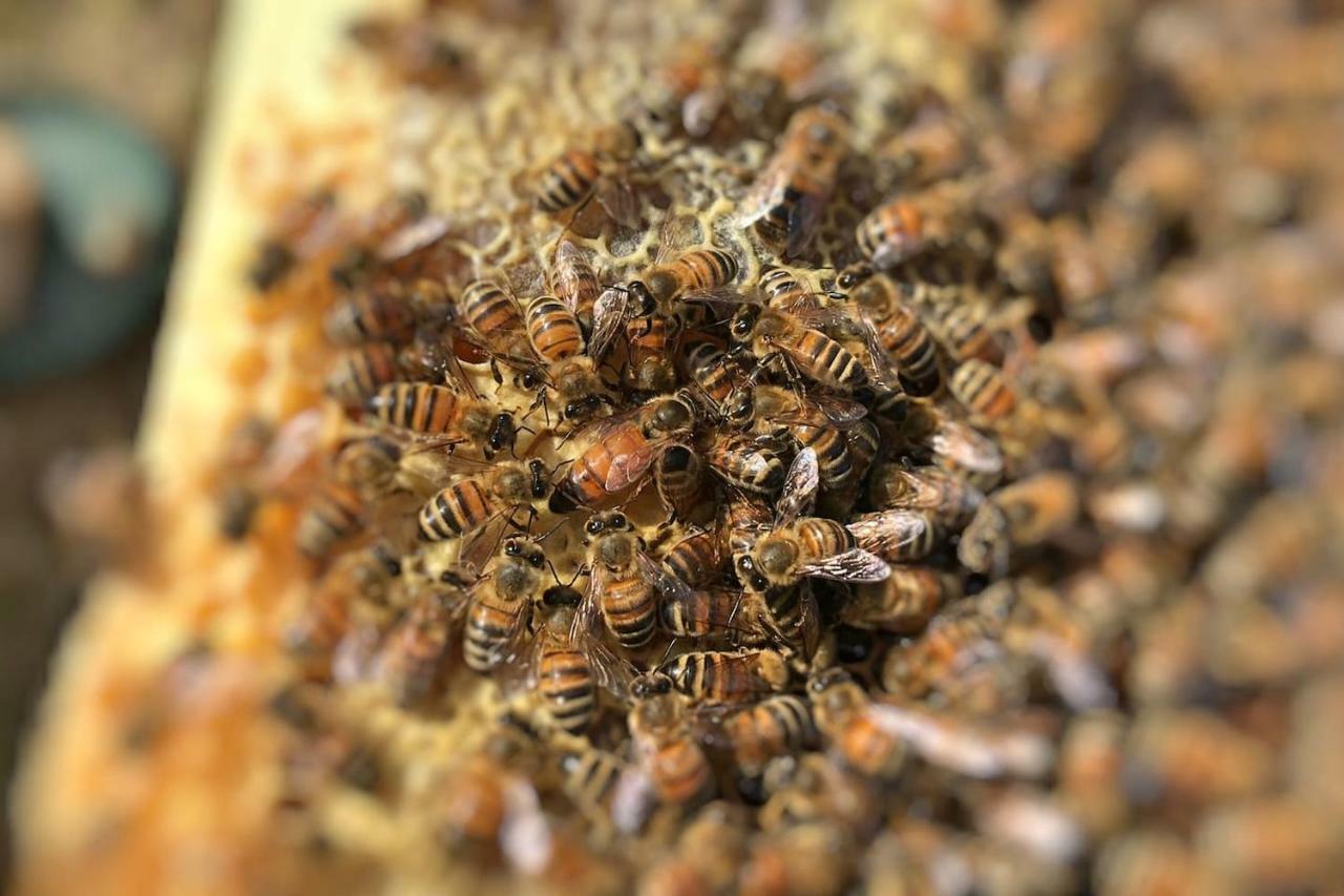 The Hive Stefy'S Apartment Iglesias Kültér fotó